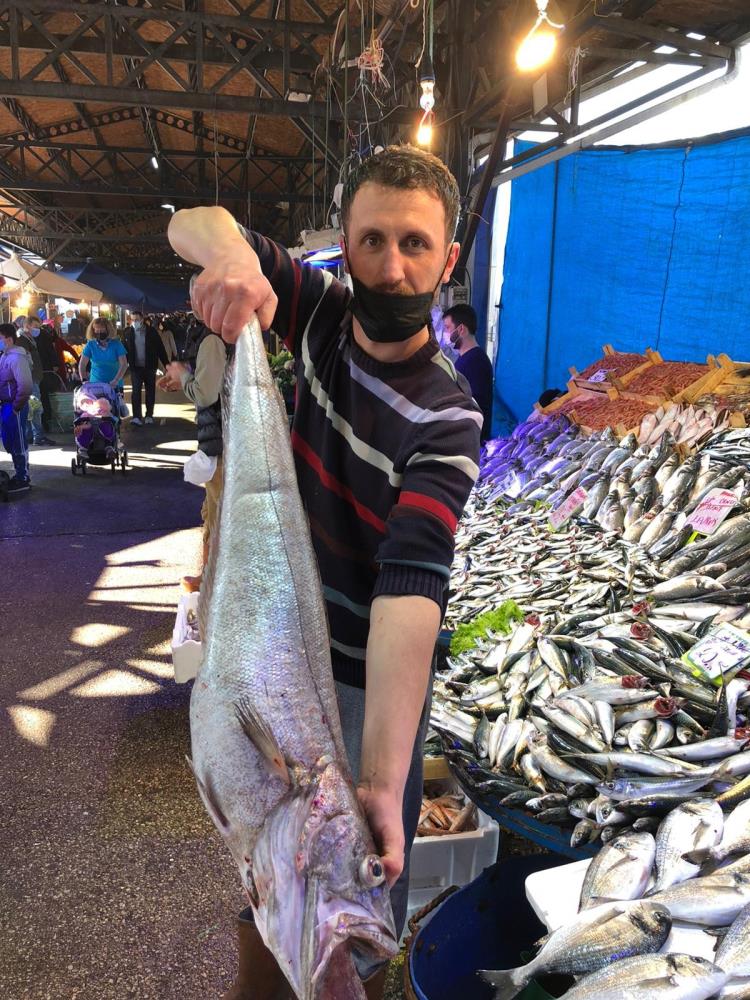 6 kiloluk dev mezgidi görenler gözlerine inanamadı