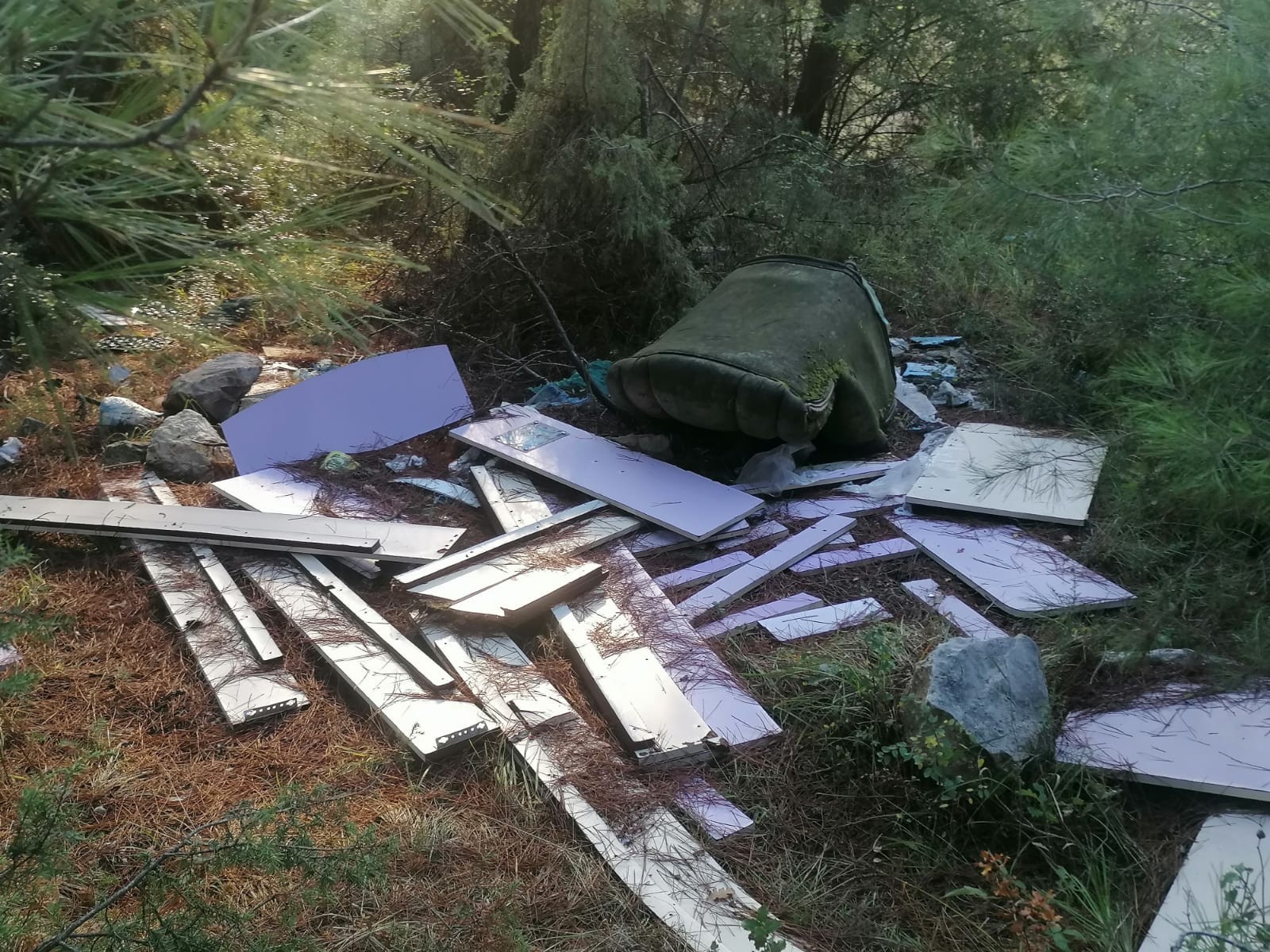 Bunun adı çevre katliamı! Ormandaki vahşiler