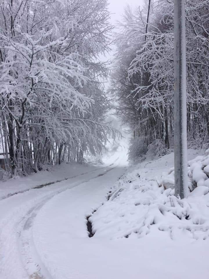 Bursa'da kar yağışı başladı