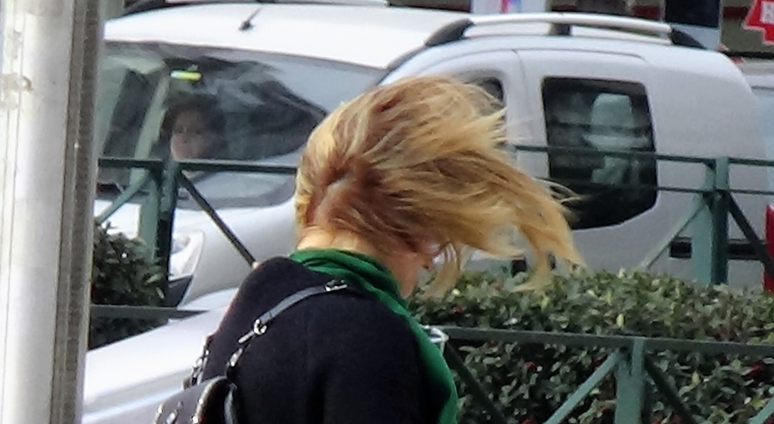 Bursa'da lodos vatandaşlara zor anlar yaşattı