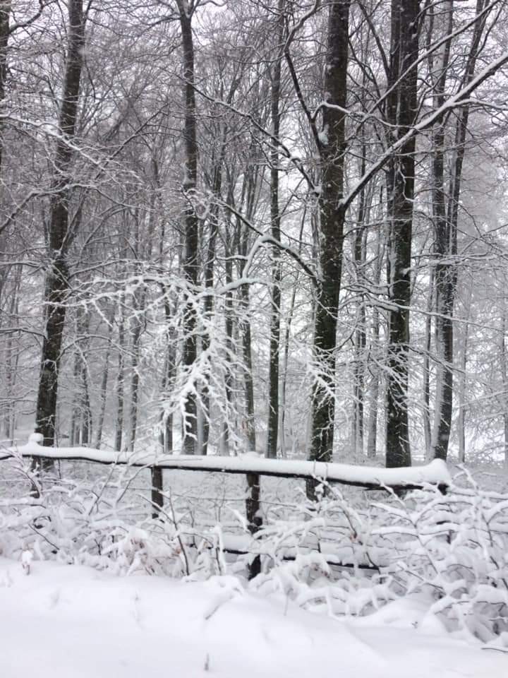 Bursa'da kar yağışı başladı
