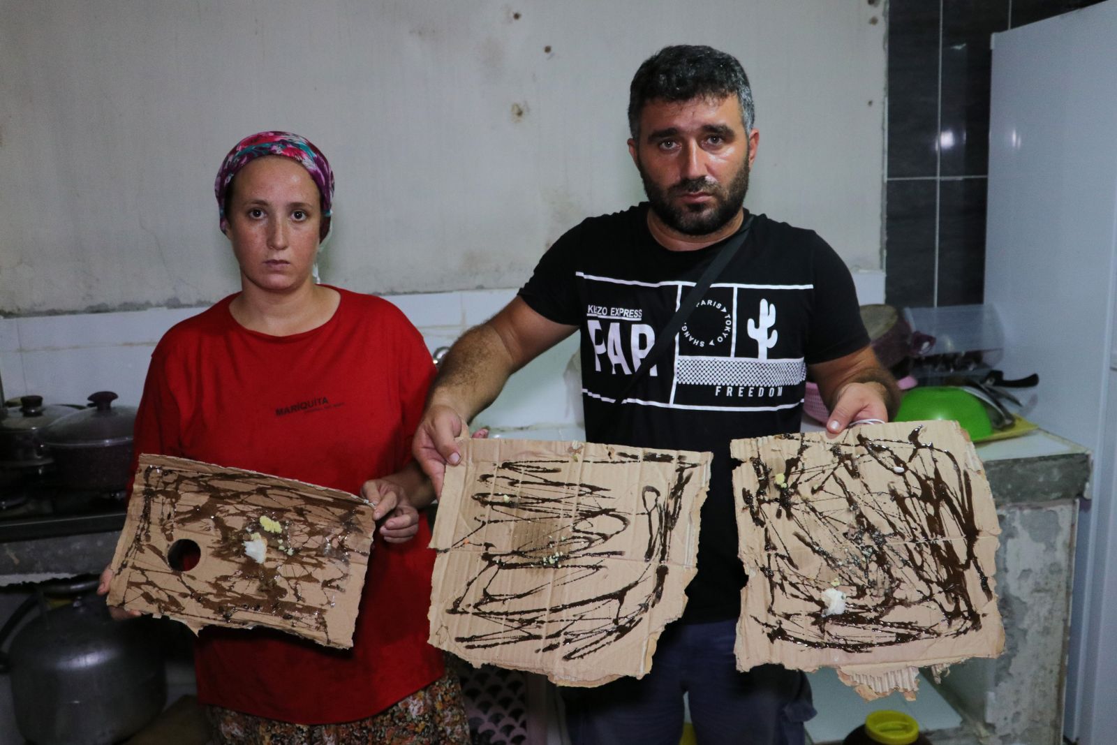 Vatandaş tedirgin... Mahallede böcek istilası! Her yerden fışkırıyor