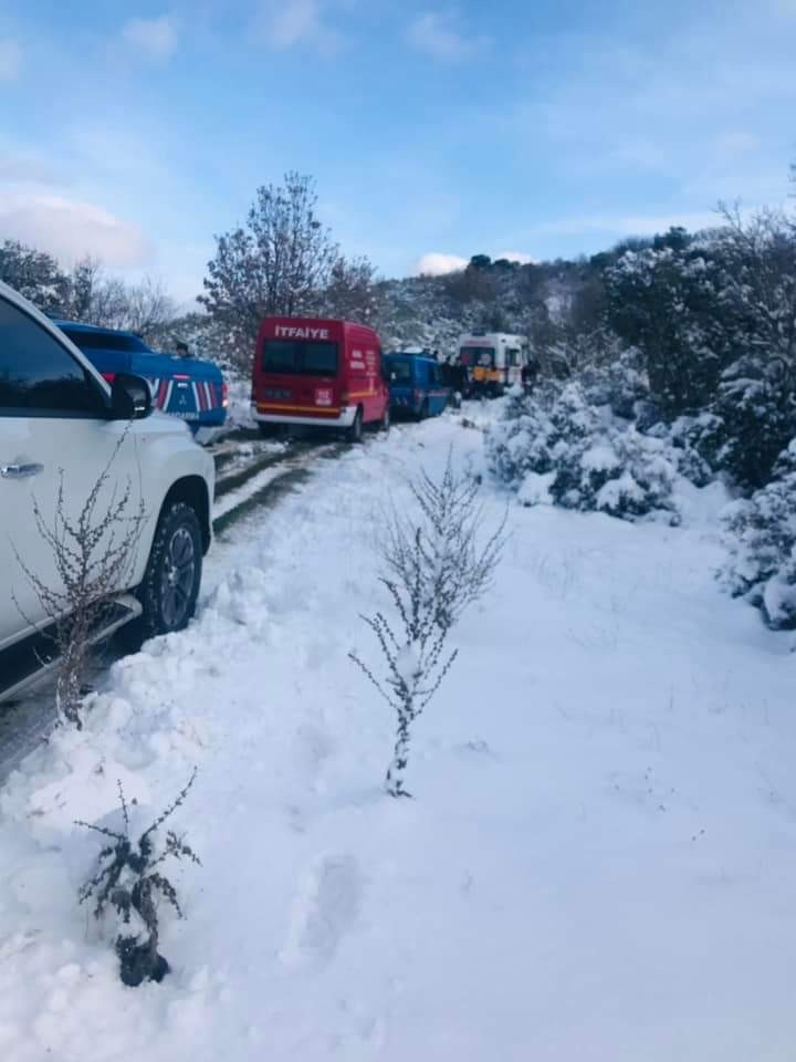 71 yaşındaki adam kestiği ağacın altında can verdi