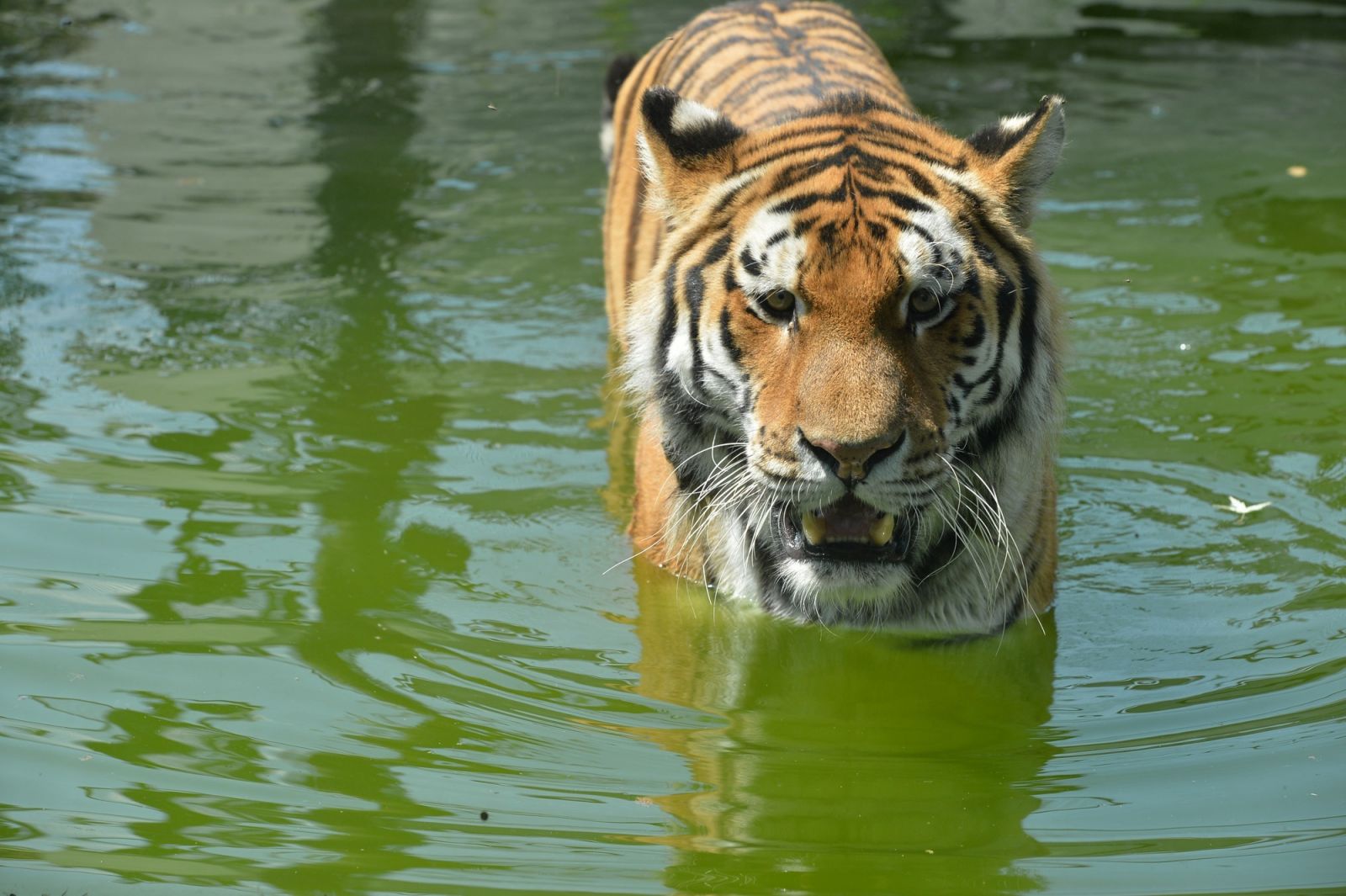 Çocuğunu alan oraya koştu