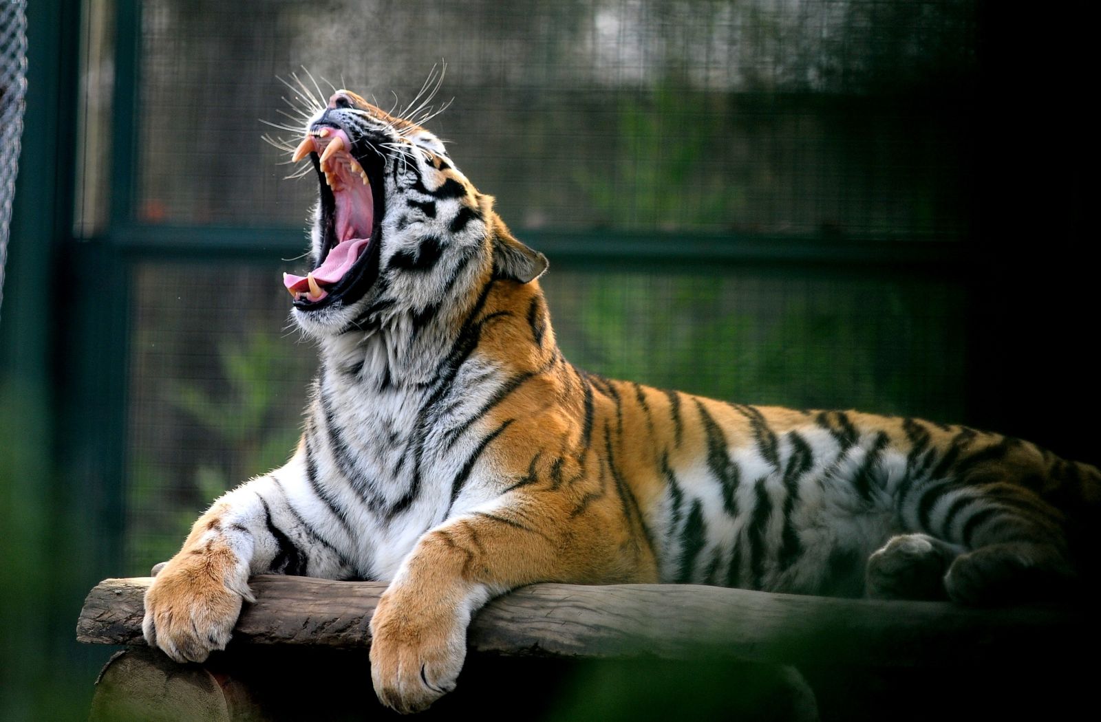 Çocuğunu alan oraya koştu