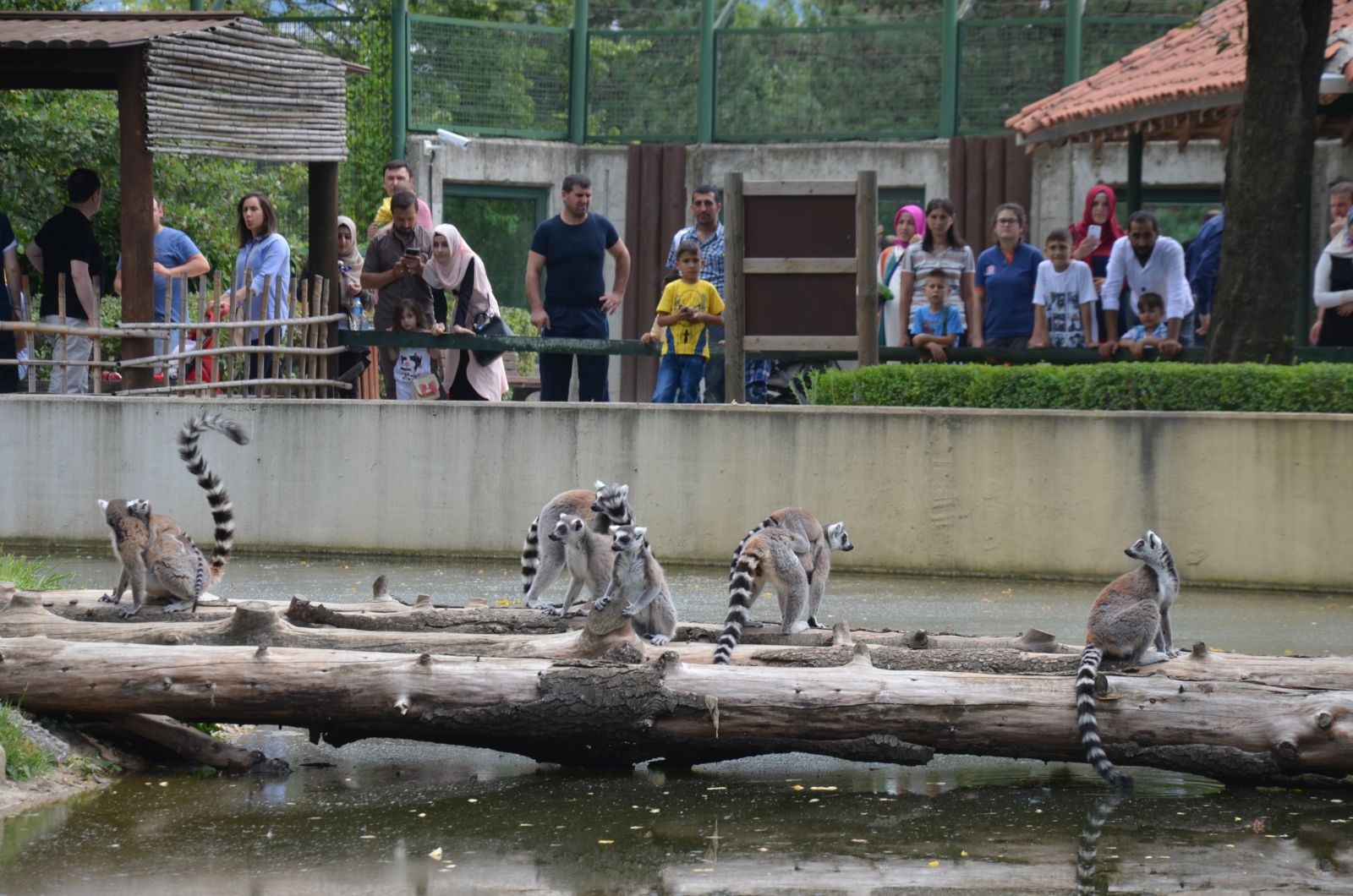 Çocuğunu alan oraya koştu