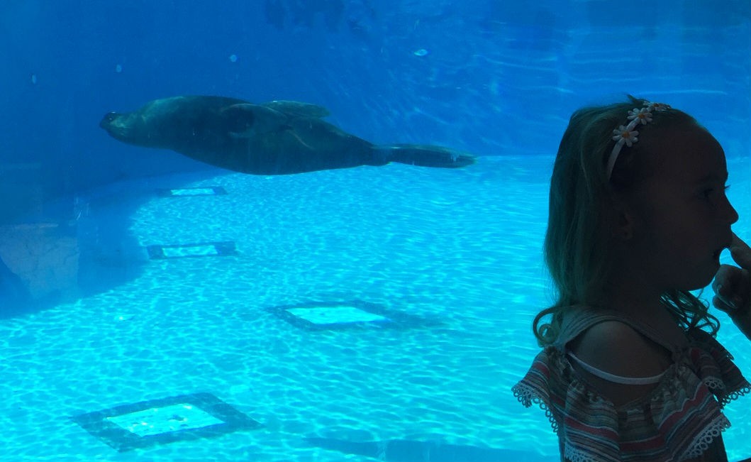 Çocuğunu alan oraya koştu