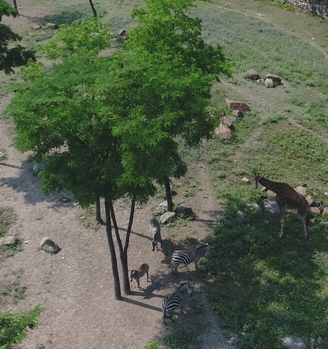 Çocuğunu alan oraya koştu