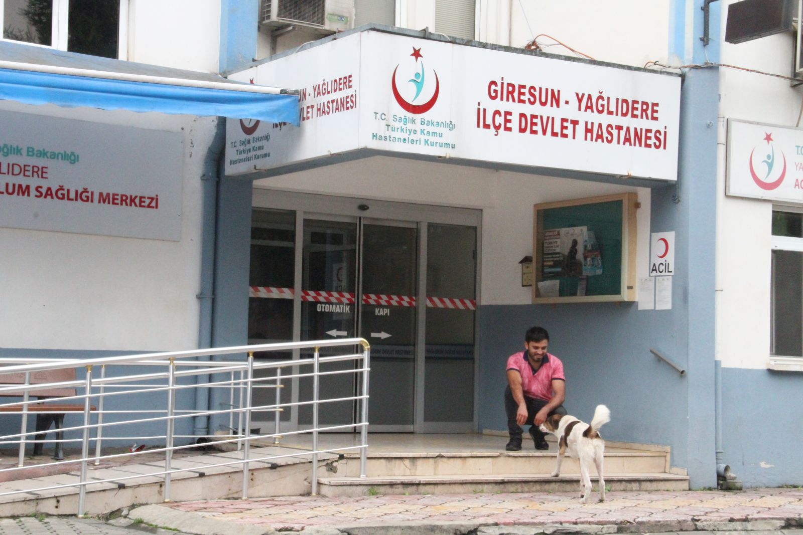 'Çakır' sahibini tedavi gördüğü hastane kapısından hiç ayrılmadan bekliyor