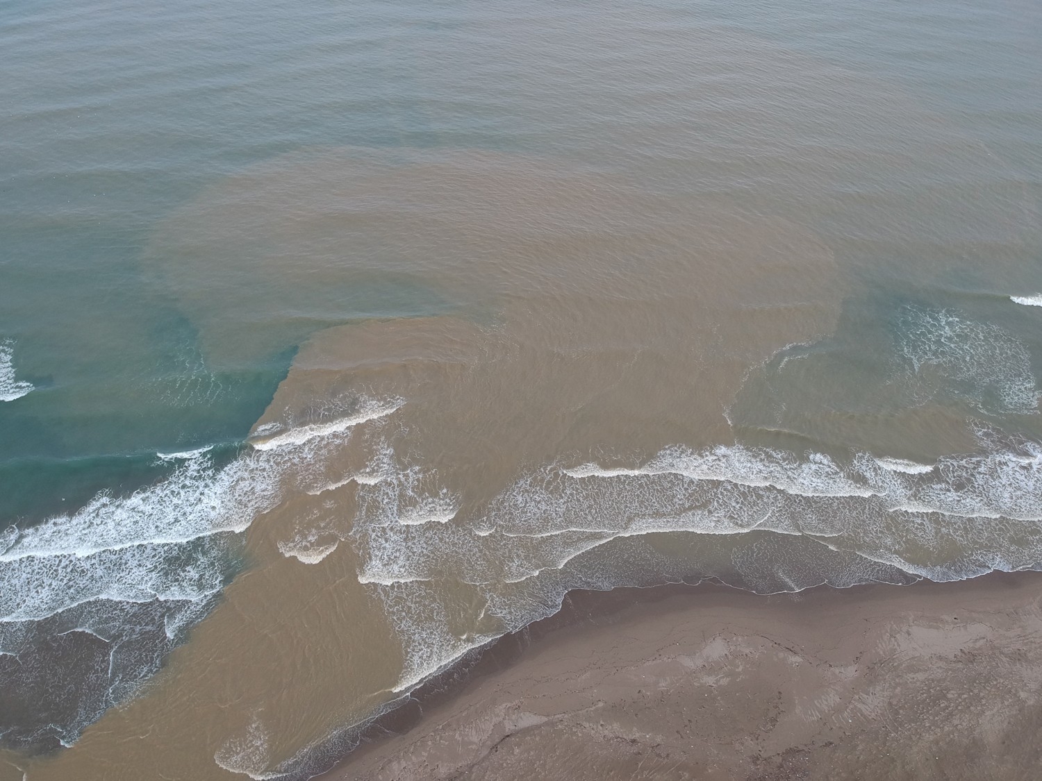 Akliman, maviliğini kahverengiye bıraktı