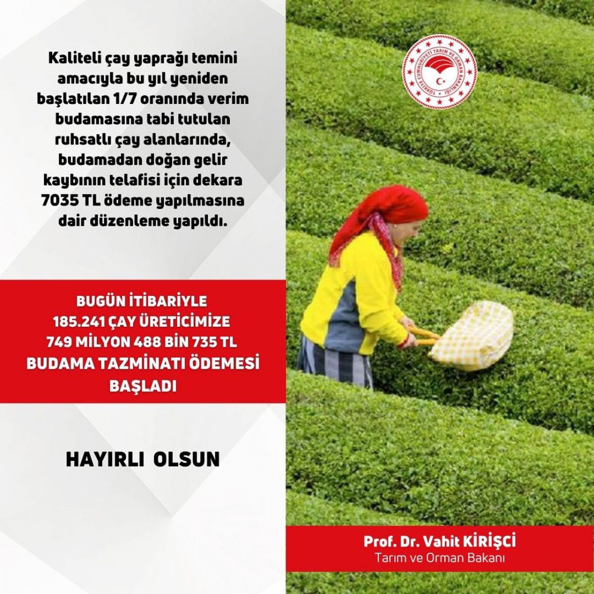 Bakan Kirişci'den çay üreticilerine müjde: Ödemeler başladı