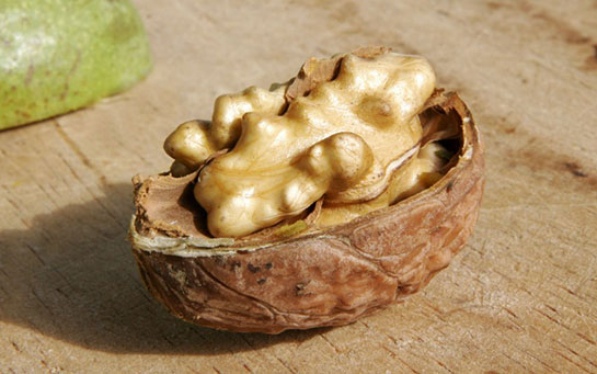 Cevizin faydaları nelerdir, ceviz nelere iyi gelir I Ceviz Kabuğu Suyunun Faydaları ne?