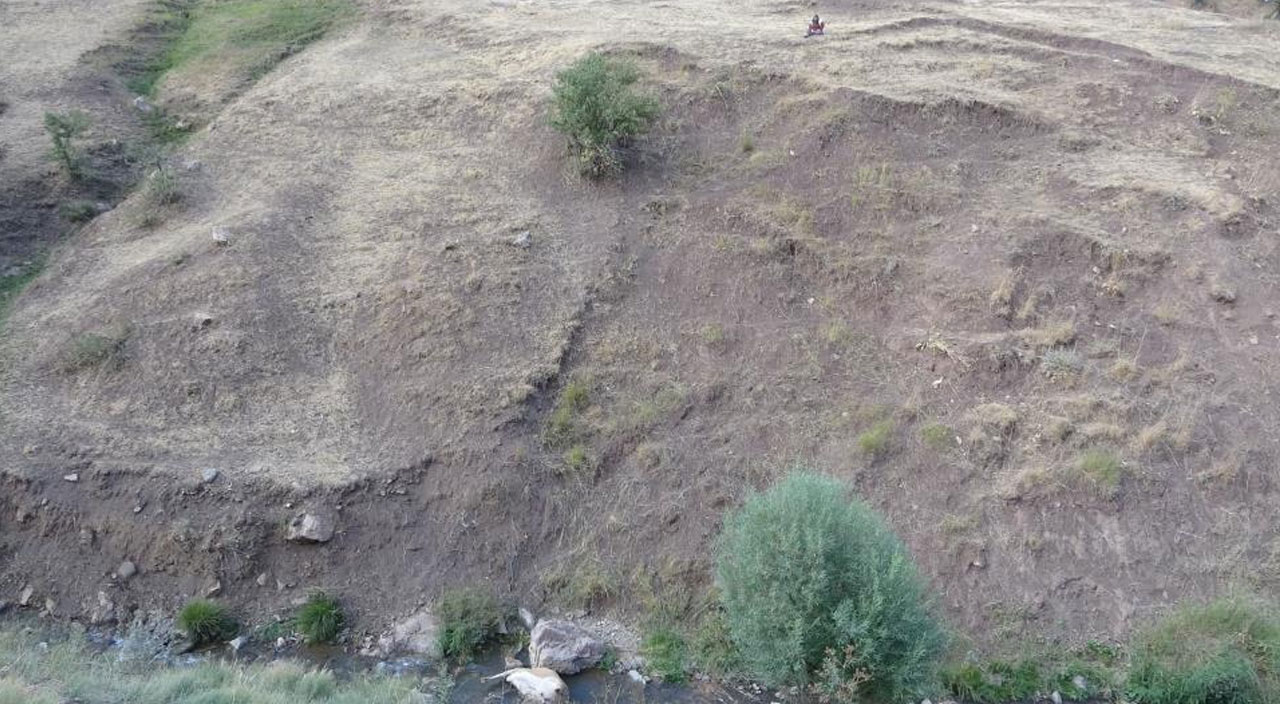 Telef olan ineğini son bir kez görmek için saatlerce yürüdü: “Evin bir ferdi gibiydi”