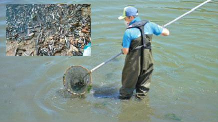 90’lı yıllara dönüş