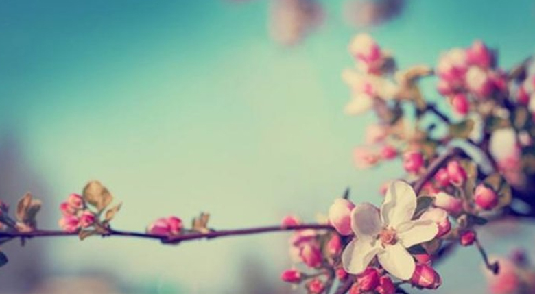 Cemre Düştü mü? | İlk Cemre Nereye Düşer? (Cemreler Ne zaman Düşecek?)