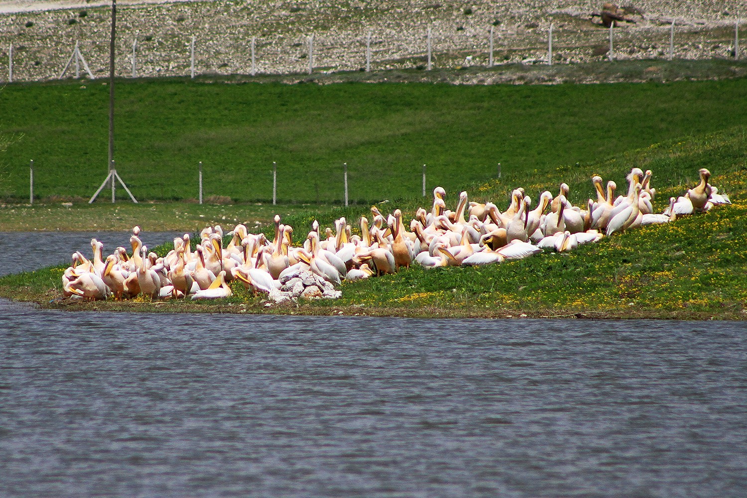 Cemre Düştü mü? | İlk Cemre Nereye Düşer? (Cemreler Ne zaman Düşecek?)