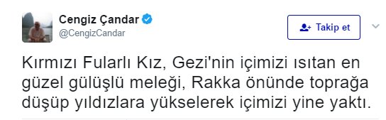 PKK'lı teröristin ölümü Cengiz Çandar'ı üzmüş!