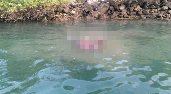 Manzarayı çekerken fark ettiler! Korkunç gerçeği tekne yaklaşınca öğrendiler!...