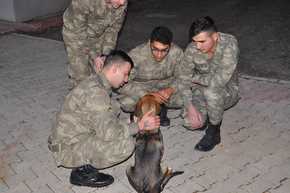 'Cesur' asker abilerine kavuştu