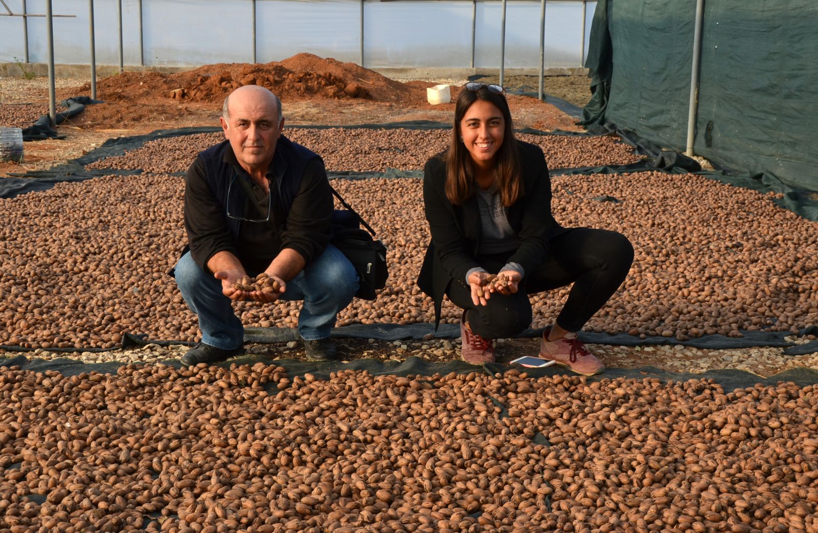 14 ilde üretimi yapılabilen pikan cevizinin kilosu 130 liradan satılıyor