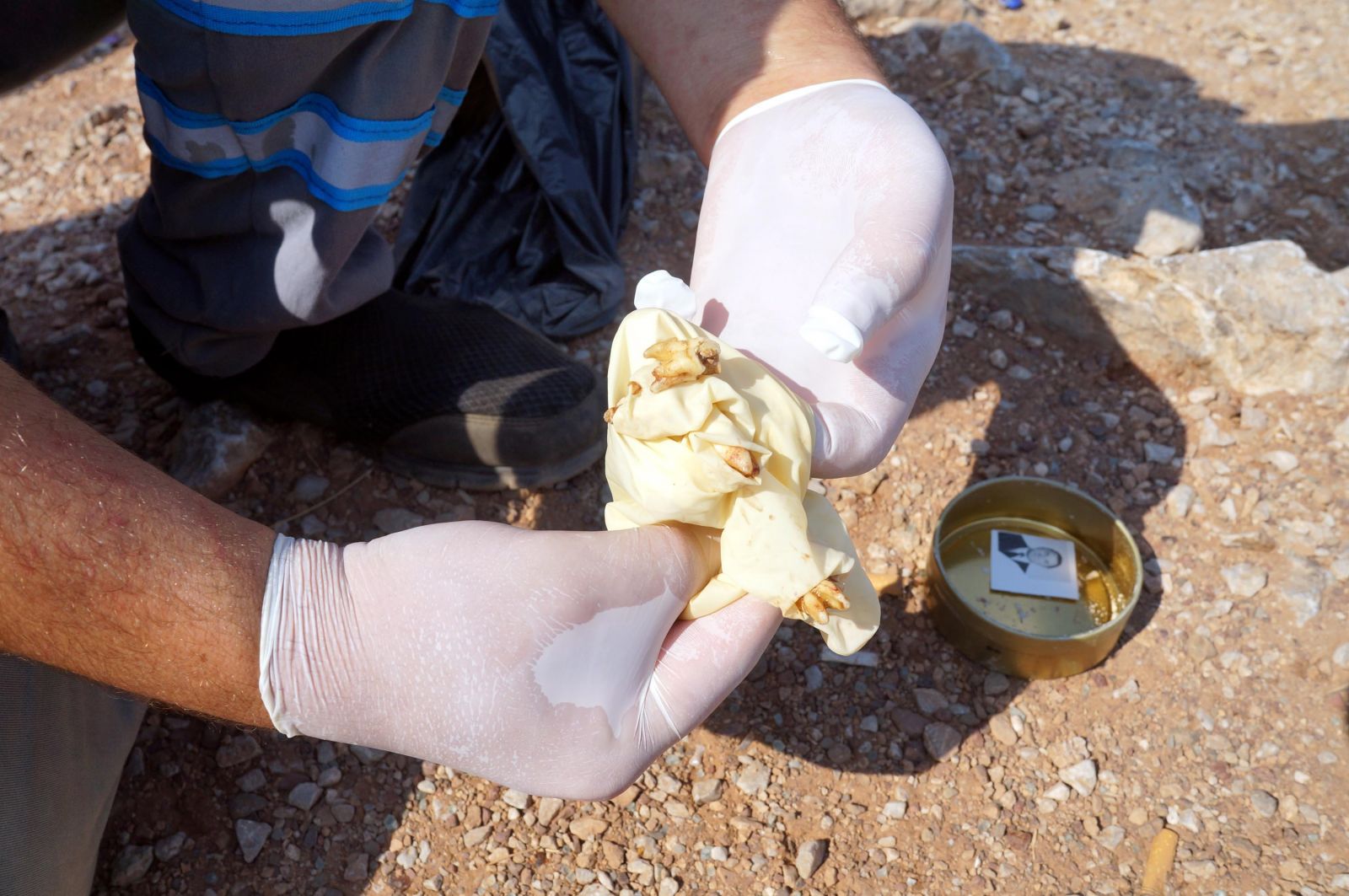 Esrarengiz kutudan çıkanlar şaşkına çevirdi