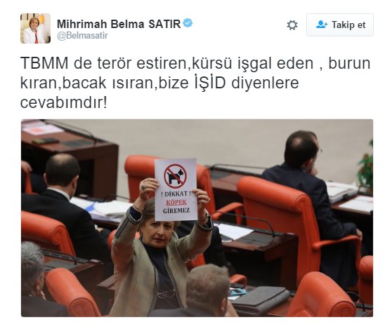AK Partili vekilden dikkat köpek giremez kağıdı