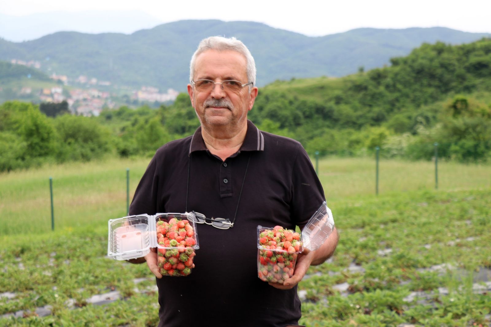 Fiyatı 40 TL’yi bulan Osmanlı Çileği yok satıyor Fiyatı 40 TL’yi bulan Osmanlı Çileği yok satıyor