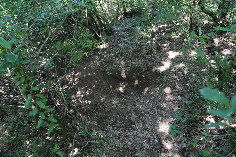 Feci olay! Amcasının eşini boğup ormana gömdü