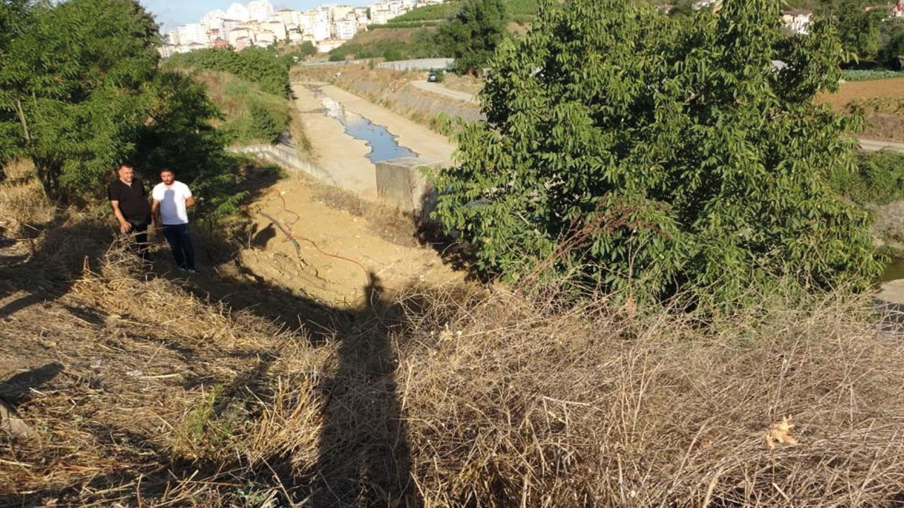 5 yıl önce kaybolmuştu: Korkunç gerçek ortaya çıktı