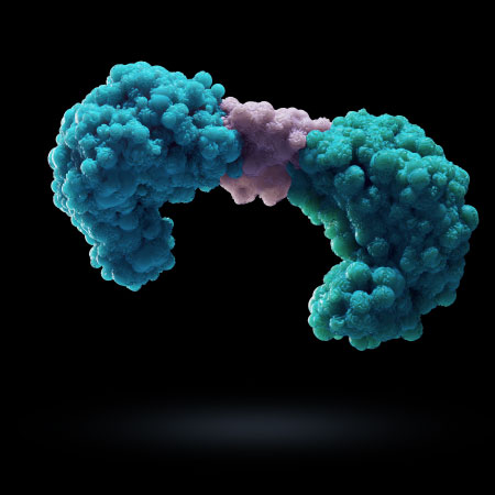 Kanserle savaşta yeni silah: Terminatör moleküller Kanserle savaşta yeni silah: Terminatör moleküller