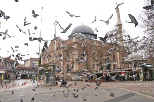 Bölgesel karantinalar hükümetin gündeminde