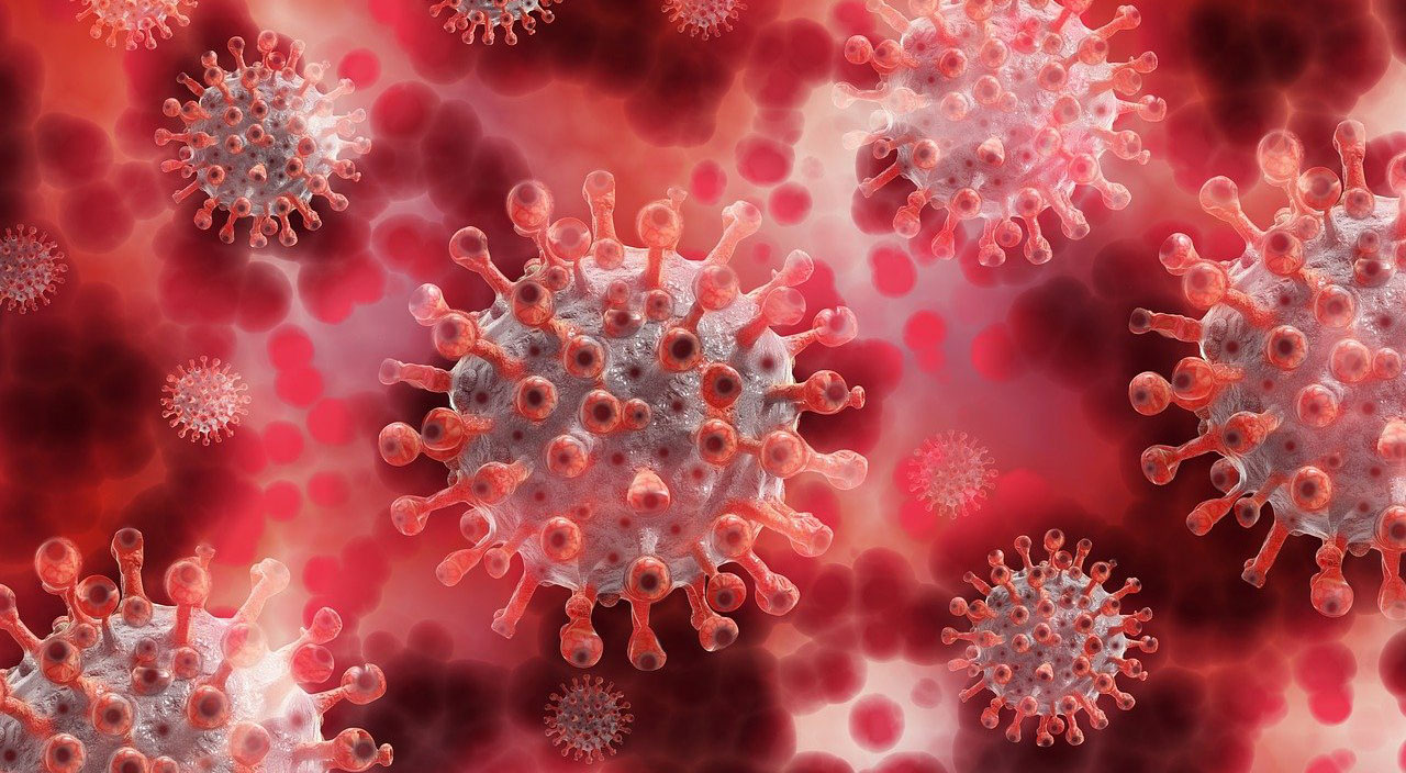 Kritik gen keşfedildi: Koronavirüsü neden bazı kişilerin hafif atlattığı belli oldu