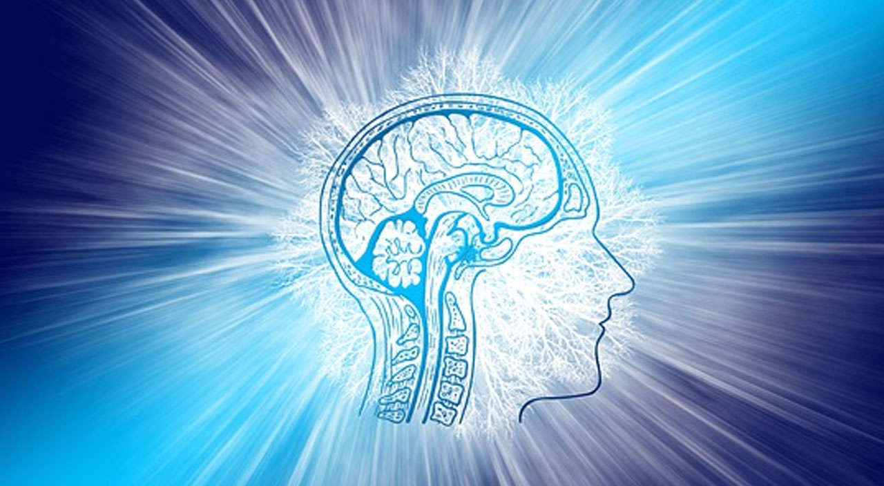 45 bin hasta incelendi: Covid-19 beyni küçültüyor! Peki bu durum geçici mi?