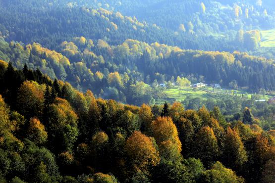 Çölleşmede en risksiz bölge 'Karadeniz'