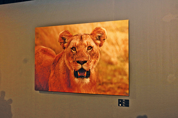 ‘Ertuğrul’un Afrika'sı