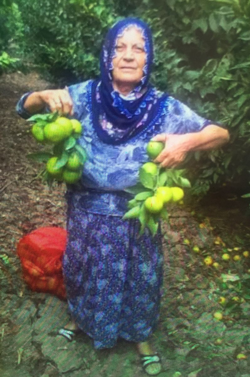 Acemi sürücü kaldırımda oturan iki kadını böyle öldürdü