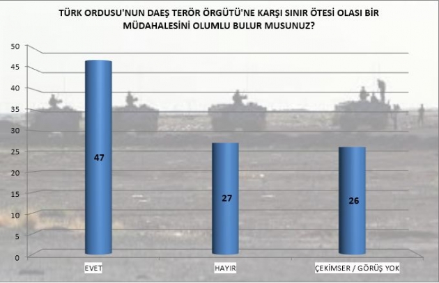 Rus uçağının düşürülmesine büyük destek!