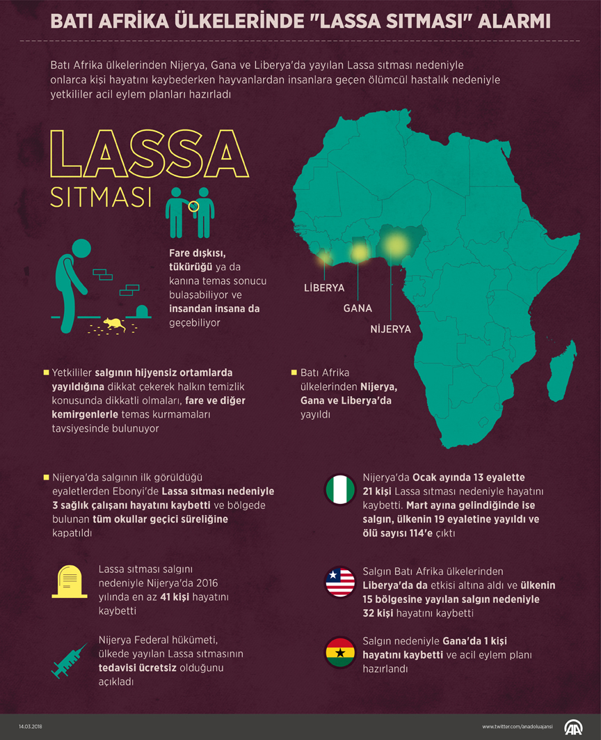 Batı Afrika ülkelerinde 'Lassa sıtması' alarmı