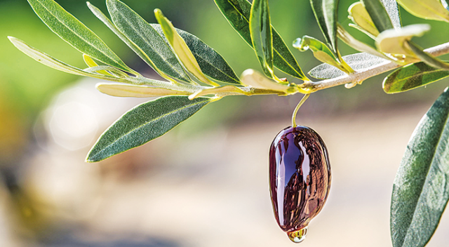 Demans nedir, demans belirtileri nelerdir? (Demans tedavisi var mı?)