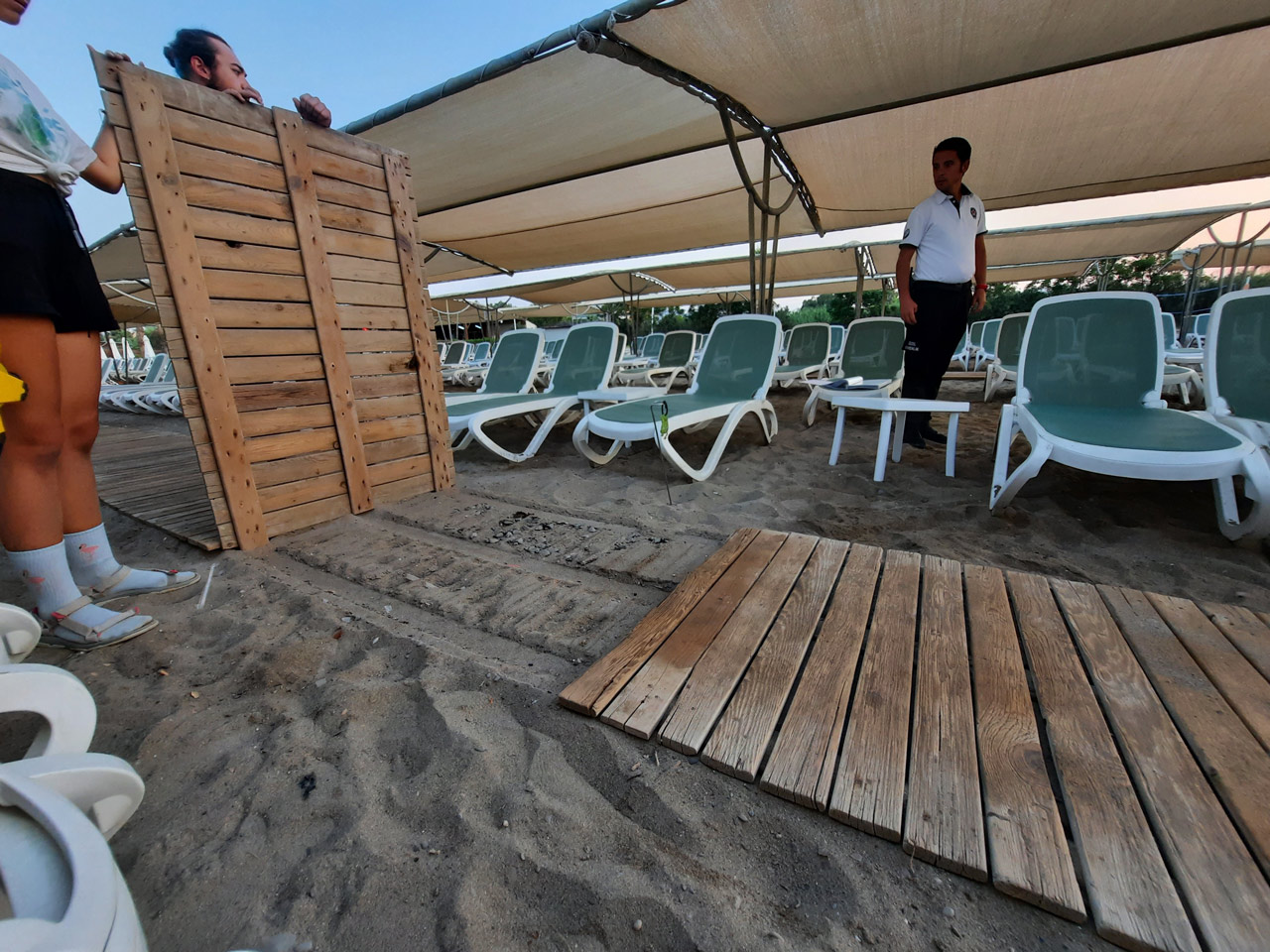 Onlarca yavru caretta, sahildeki yürüme yolu altında telef oldu