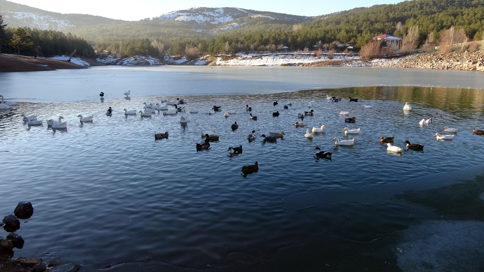 Yozgat'ta gölet buz tuttu