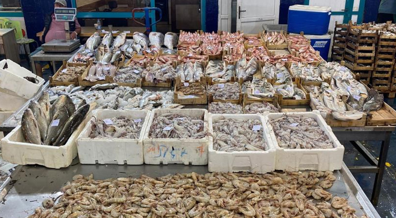 Ağlar mavi sulara kavuştu, tezgahlar balık doldu