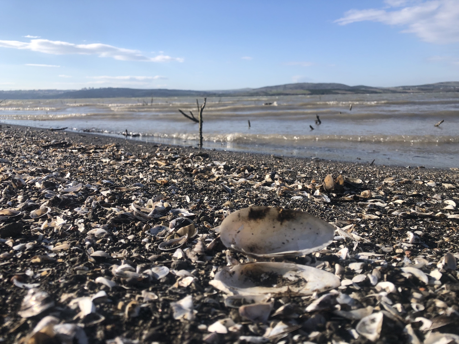 İstanbul barajlarındaki su oranı düştü