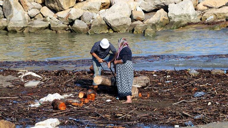 Deniz getirdi! Tek tek topladılar...