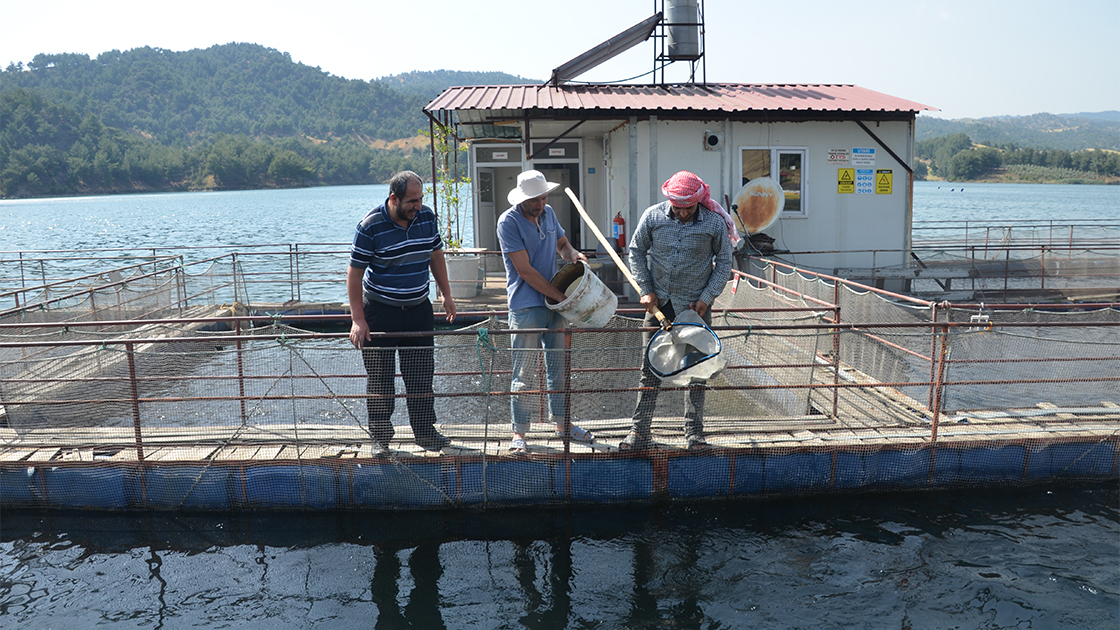 Denizi olmayan kentten 25 milyon dolarlık balık ihracatı