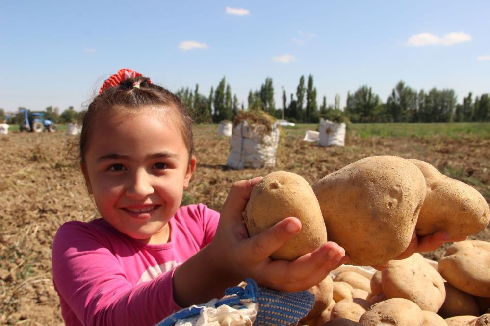 Erdoğan talimat vermişti... Depolar boşaldıkça üreticinin yüzü gülüyor