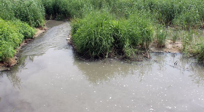 Balıkesir'de mahalleliler dereden yayılan kötü kokuya isyan etti