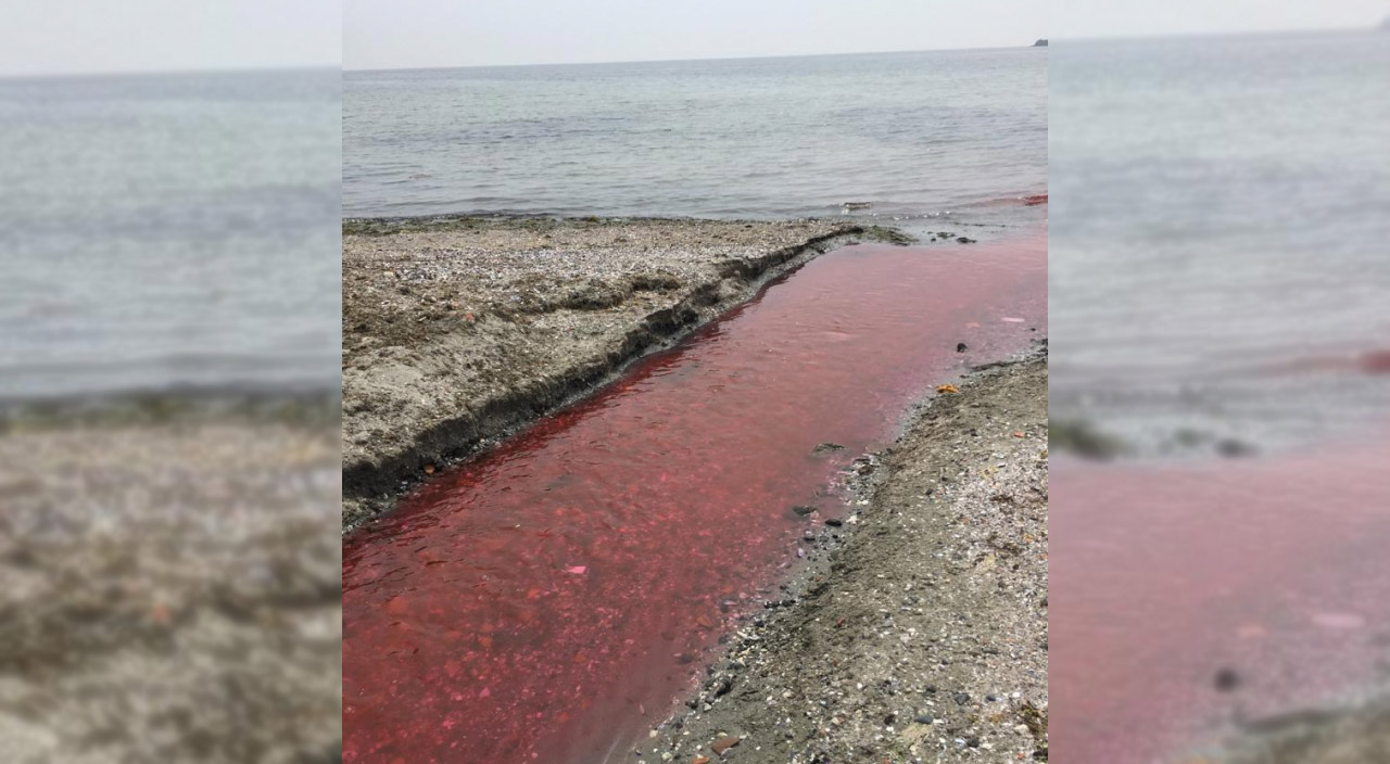 Görenleri korkutan görüntü! Tekirdağ'da Kamara deresi kırmızı akıyor