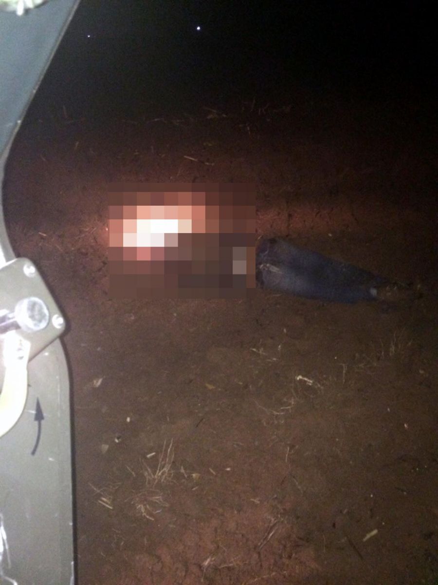 Mardin'de 1 terörist öldürüldü