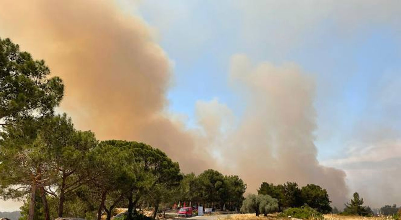 KKTC'de orman yangını